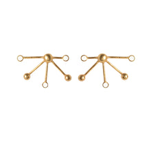 Load image into Gallery viewer, Lifetime Earrings